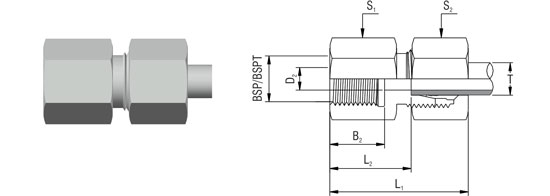 Straight Female Stud Fittings – GAI