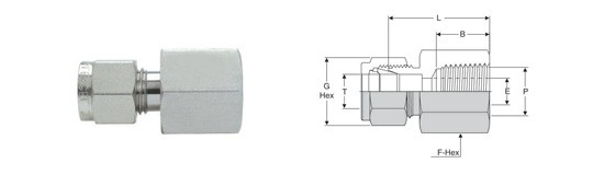 Female Connector (Tapered Thread)