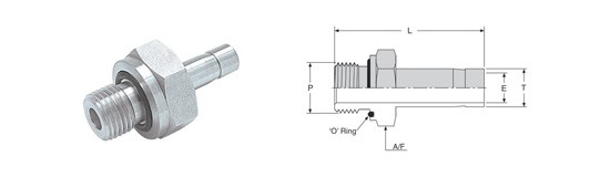 MALE ADAPTER – MA