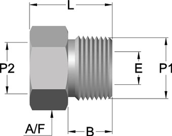 PN – BUSHING REDUCING (PNBR)