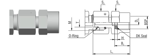 Pressure Gauge Fittings With Swivel Nut – MAVE