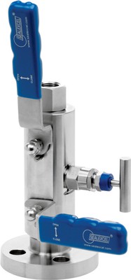 Single / Double Block & Bleed Valves