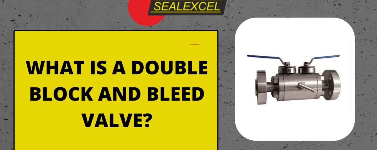 What is a Double Block and Bleed Valve